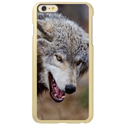 Gray Wolves  Incipio Feather Shine iPhone 6 Plus Case