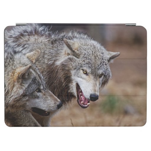Gray Wolves  iPad Air Cover