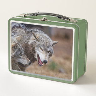 Gray Wolves Metal Lunch Box