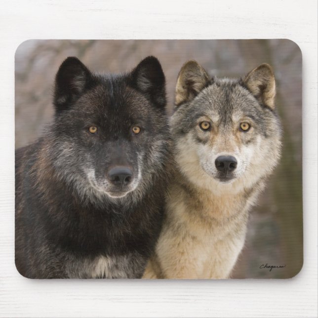 Gray Wolves Mouse Pad (Front)