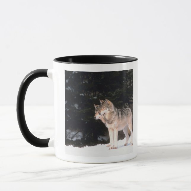 Gray wolves mug (Left)