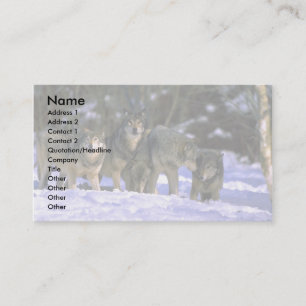Gray Wolves-pack at edge of snowy forest Business Card