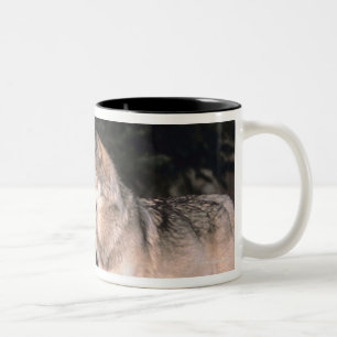 Gray wolves Two-Tone coffee mug