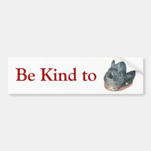 Gray Wooly Rabbit Bumper Sticker