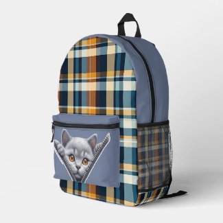 Gray Zipper Cat 
