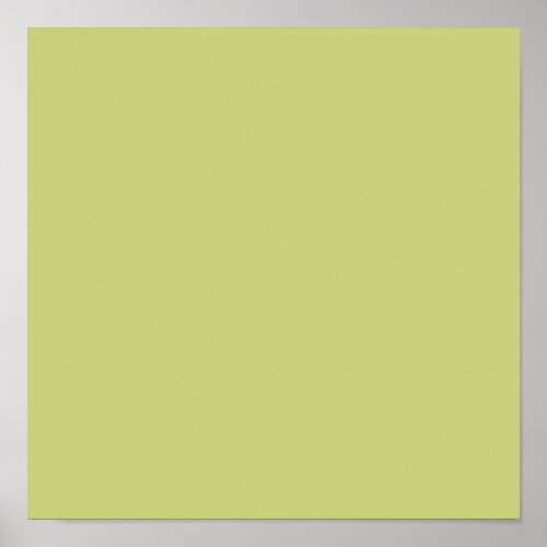  Grayish apple green solid color  Poster