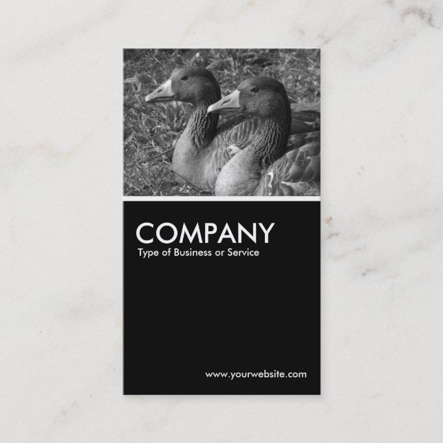 Graylag Geese B&W - Black Business Card (Front)