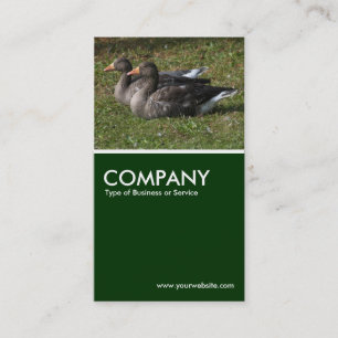 Graylag Geese - Dark Green Business Card