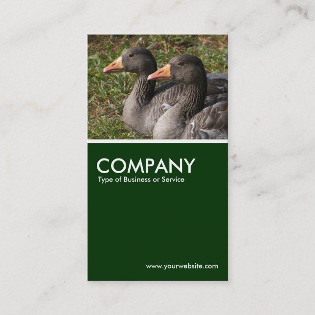 Graylag Geese - Dark Green Business Card (Front)