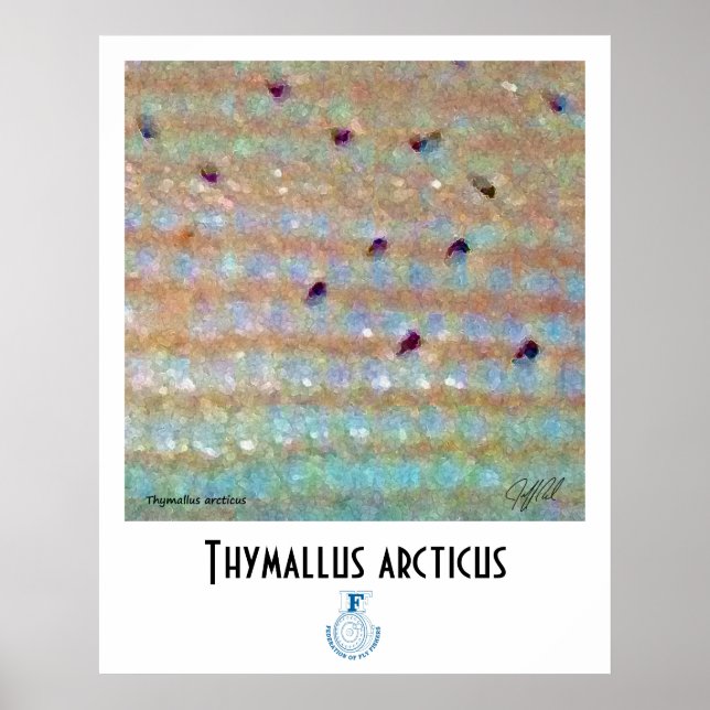 Grayling FFF Poster (Front)