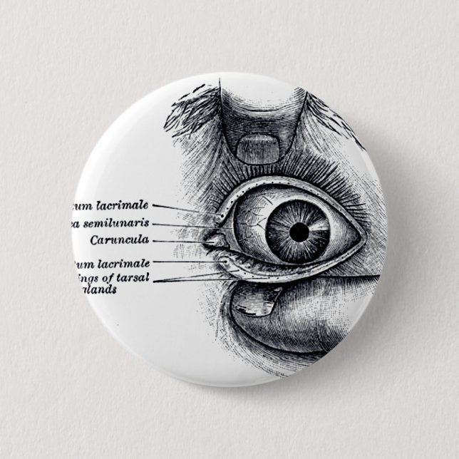 Gray's Anatomy — eyeball Button (Front)