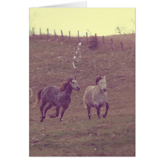 Grays Gallop Grunge Cards (Front)