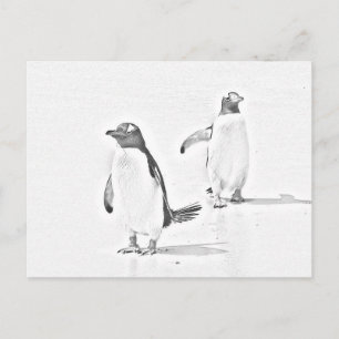 Grayscale Coloring Penguins Antarctic Postcard