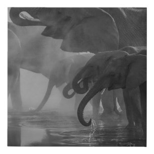 GRAYSCALE PHOTO OF ELEPHANTS DRINKING WATER FAUX CANVAS PRINT