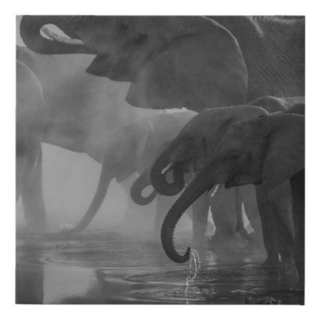 GRAYSCALE PHOTO OF ELEPHANTS DRINKING WATER FAUX CANVAS PRINT (Front)