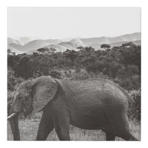 GRAYSCALE PHOTO OF GRAY ELEPHANT NEAR TREES FAUX CANVAS PRINT