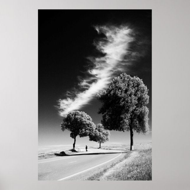 GRAYSCALE PHOTO OF PERSON ON ROAD BETWEEN TREES POSTER (Front)