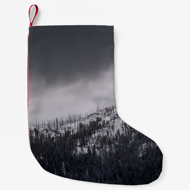 GRAYSCALE PHOTO OF TREE SMALL CHRISTMAS STOCKING (Front)