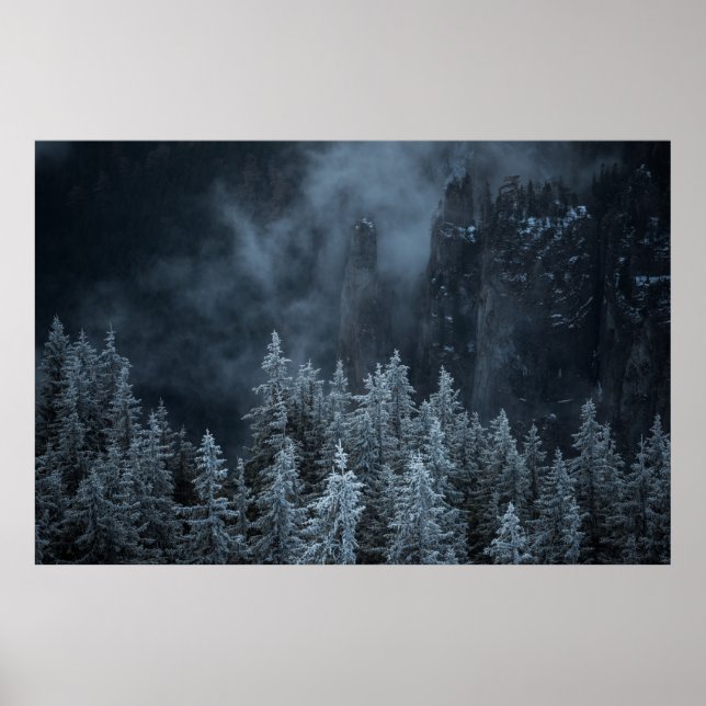 GRAYSCALE PHOTOGRAPHY OF MOUNTAIN AND TREES COVERE POSTER (Front)