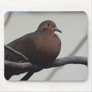 Grayson's Dove Mouse Pad