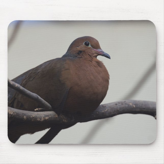 Grayson's Dove Mouse Pad (Front)