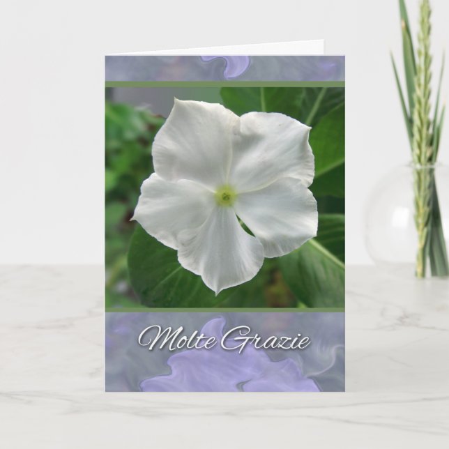 Grazie per la Simpatia Sympathy Thank You Italian Card (Front)