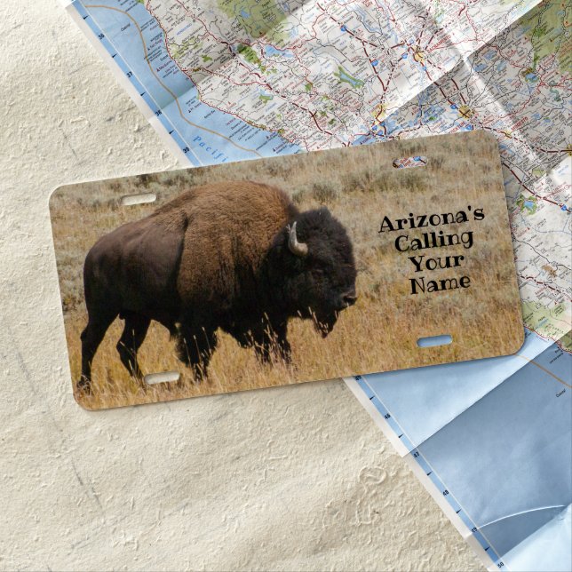 Grazing American Bison Personalized License Plate (In Situ)