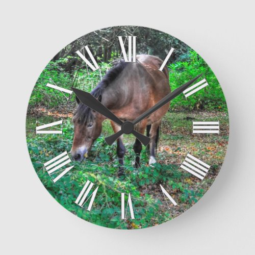 Grazing Bay Pony Equine Photo Horse_lovers Round Clock