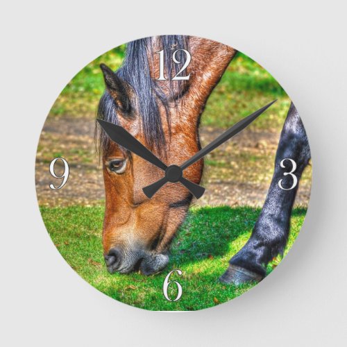 Grazing Bay Pony Equine Photo Horse_lovers Round Clock