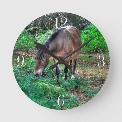 Grazing Bay Pony Equine Photo Horse_lovers Round Clock