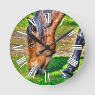 Grazing Bay Pony Equine Photo Horse-lovers Round Clock