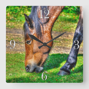 Grazing Bay Pony Equine Photo Horse-lovers Square Wall Clock