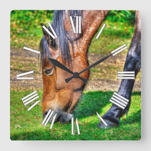 Grazing Bay Pony Equine Photo Horse_lovers Square Wall Clock