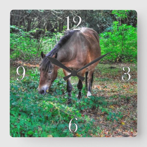 Grazing Bay Pony Equine Photo Horse_lovers Square Wall Clock