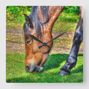Grazing Bay Pony Equine Photo Horse-lovers Square Wall Clock