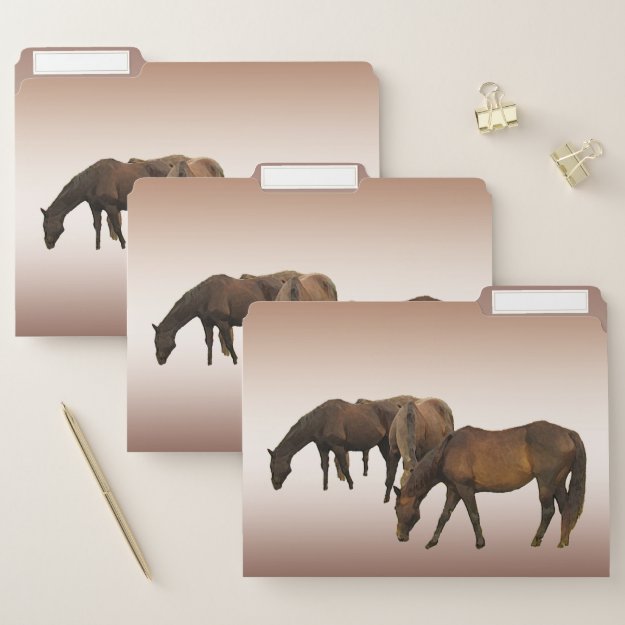 Grazing Brown Horses File Folder Set