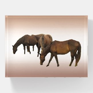 Grazing Brown Horses Glass Paperweight