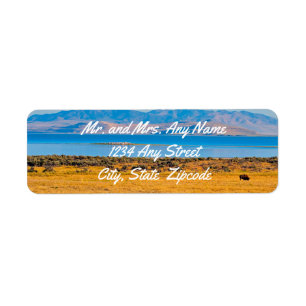 Grazing Buffalo, Great Salt Lake, Utah Label