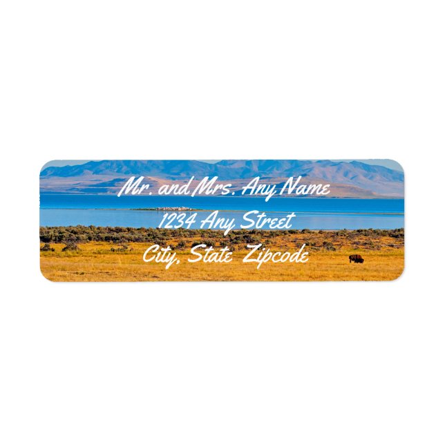 Grazing Buffalo, Great Salt Lake, Utah  Label (Front)