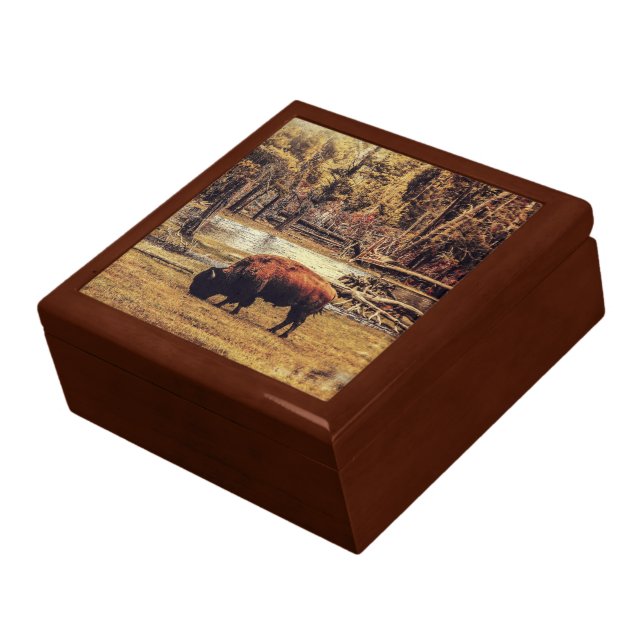 Grazing Buffalo Keepsake Box (Side)