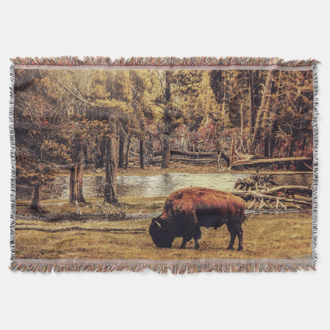 Grazing Buffalo Throw Blanket | Zazzle