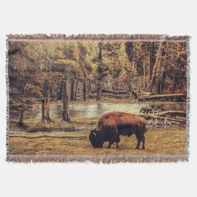Grazing Buffalo Throw Blanket (Front)