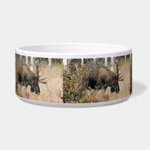 Grazing Bull Moose Bowl
