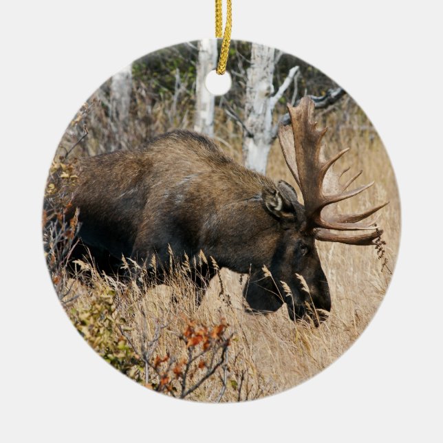 Grazing Bull Moose Ceramic Ornament (Front)