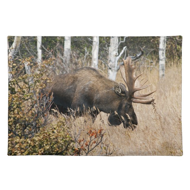 Grazing Bull Moose Cloth Placemat (Front)