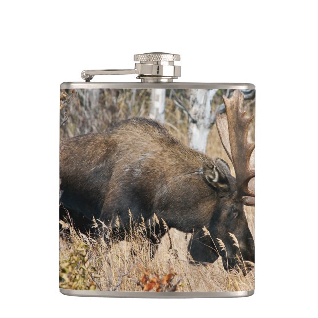 Grazing Bull Moose Flask (Front)