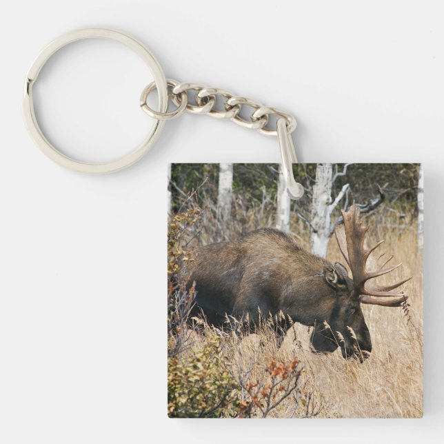 Grazing Bull Moose Keychain (Front)