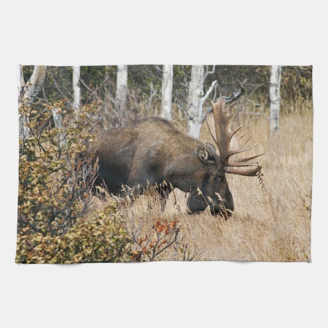 Grazing Bull Moose Kitchen Towel (Horizontal)