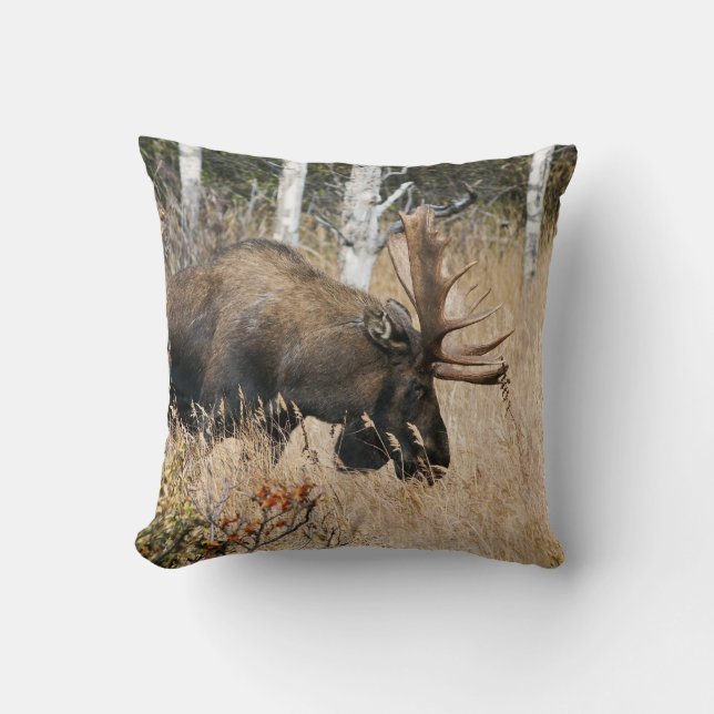 Grazing Bull Moose Throw Pillow (Front)