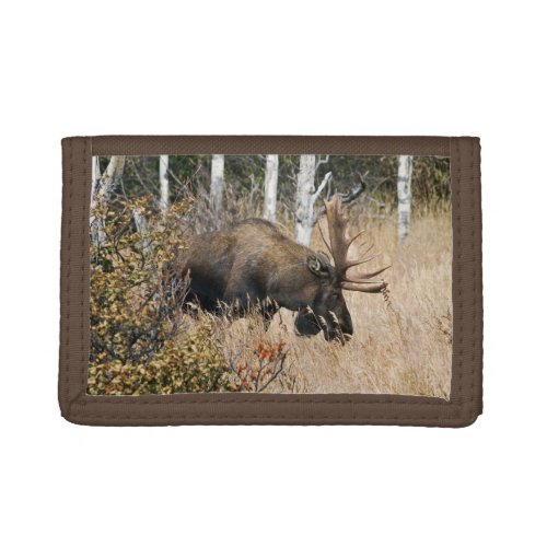 Grazing Bull Moose Tri_fold Wallet